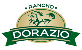 Criação de Logomarca para Agropecuária, Criação de Logotipo para Rancho que cria cavalos quarto de milha, Criar logo para Rancho